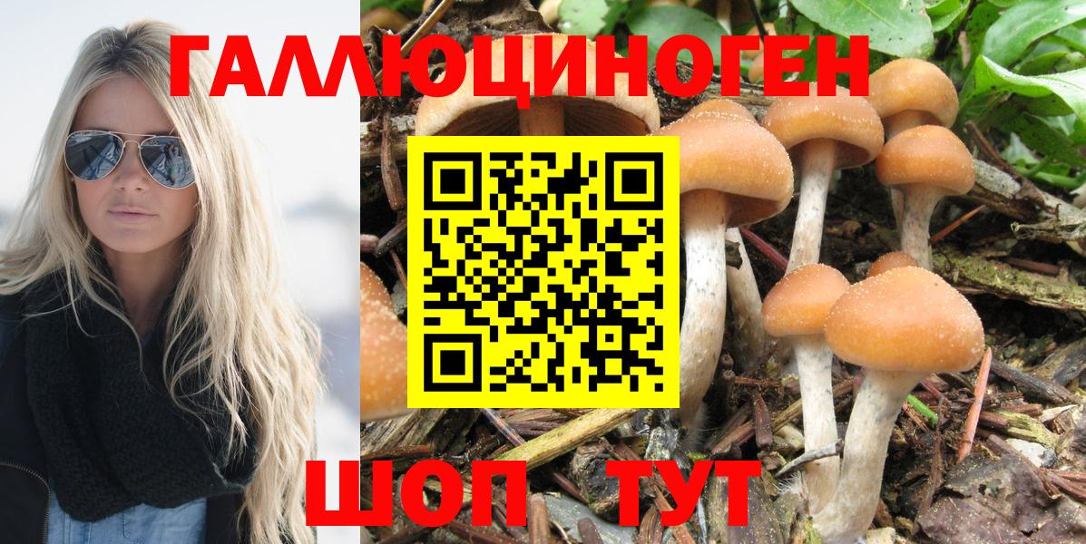 Галлюциногенные грибы мухоморы  Галлюциногенные грибы GOLDEN TEACHER  Вход с VPN  Ярославль 